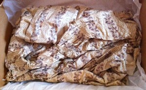 AJ Donation 6dress