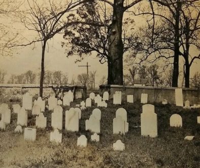 Photograph of gravestones in burial ground