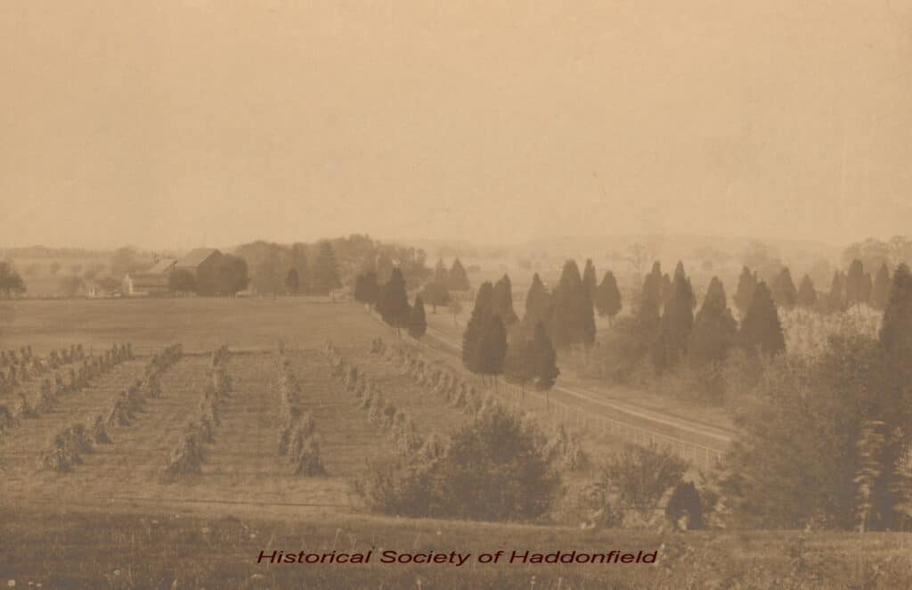 Sepia-toned 1880s photograph of view from a hill overlooking farmland. On the left and in the middle of the image, one can see rows of small haystacks. Beyond them is pasture and beyond that a farmhouse. From the lower right corner of the photograph, a road runs, separated from the field by a fence and occasional trees. The road follows a diagonal path, along the edge of the fields with the haystacks and pasture to the approximate center of the photo. On the right of the road, there are clusters of trees.
